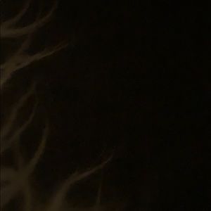 Meet your Posher, Jaden